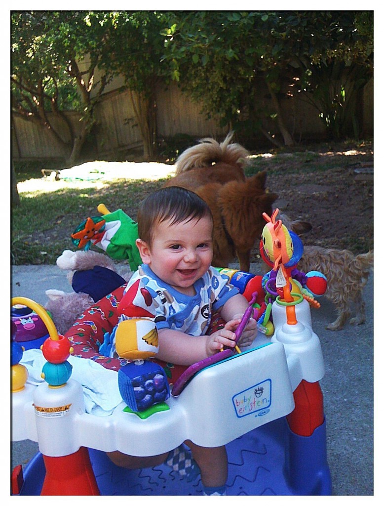 outside exersaucer 01