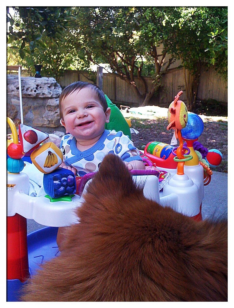outside exersaucer 03
