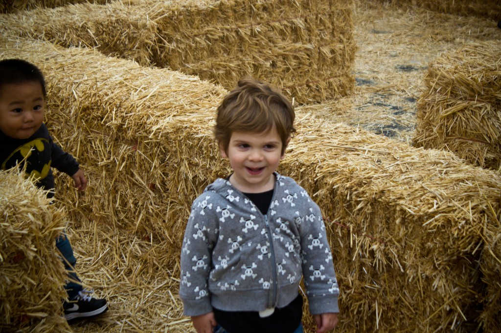 Pumpkin Patch_13