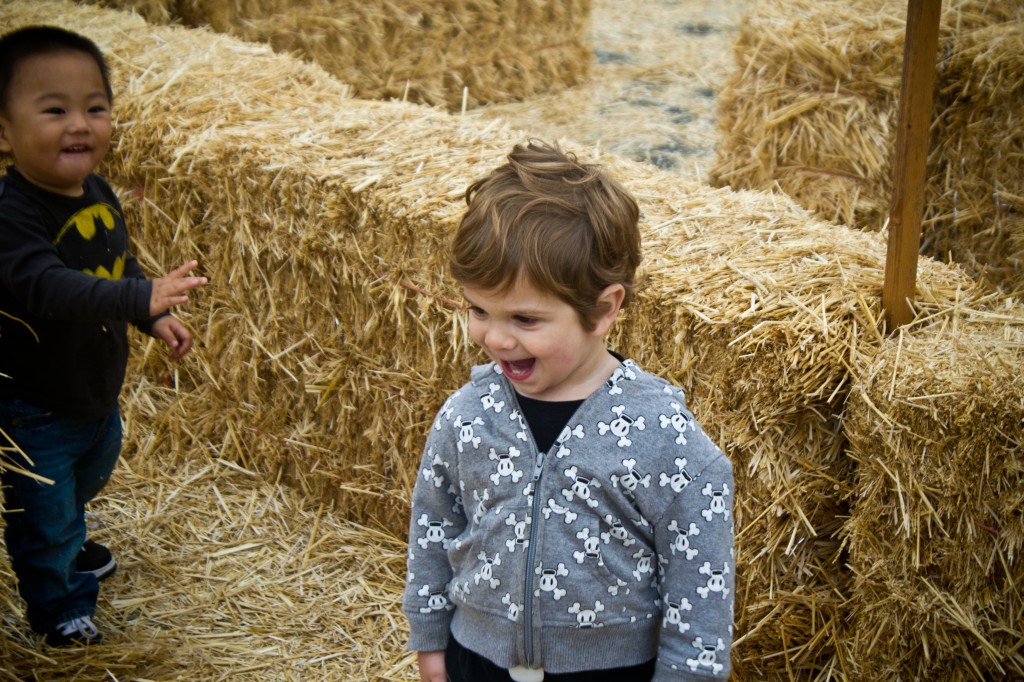 Pumpkin Patch_14