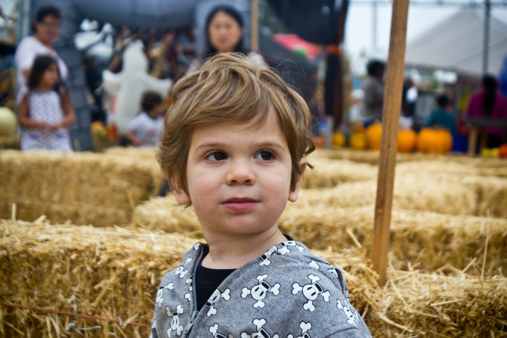 Pumpkin Patch_16