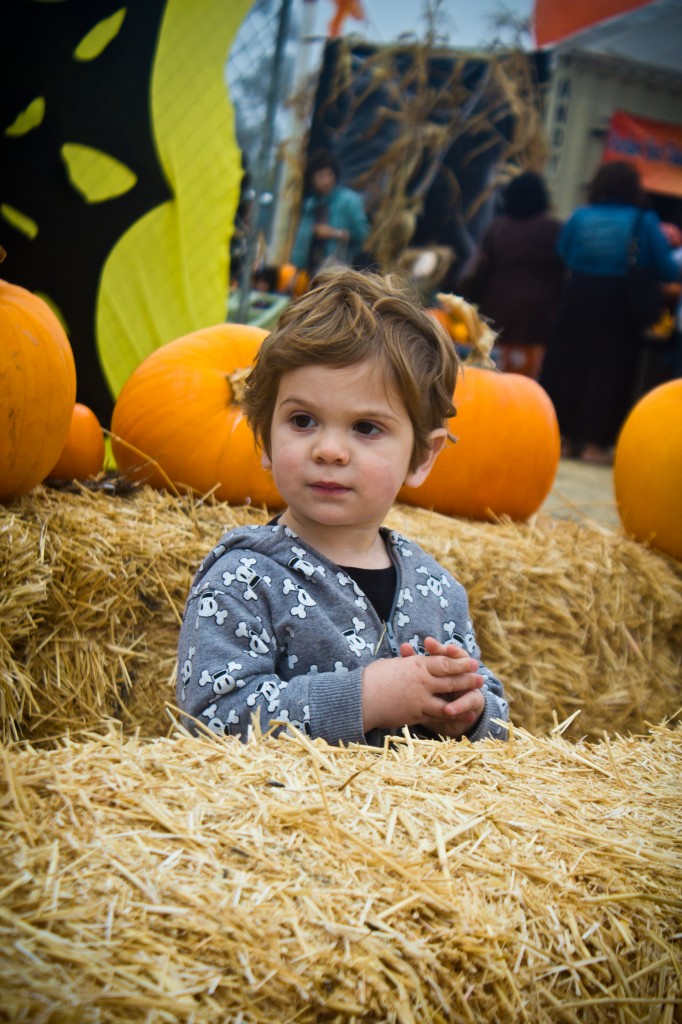 Pumpkin Patch_18