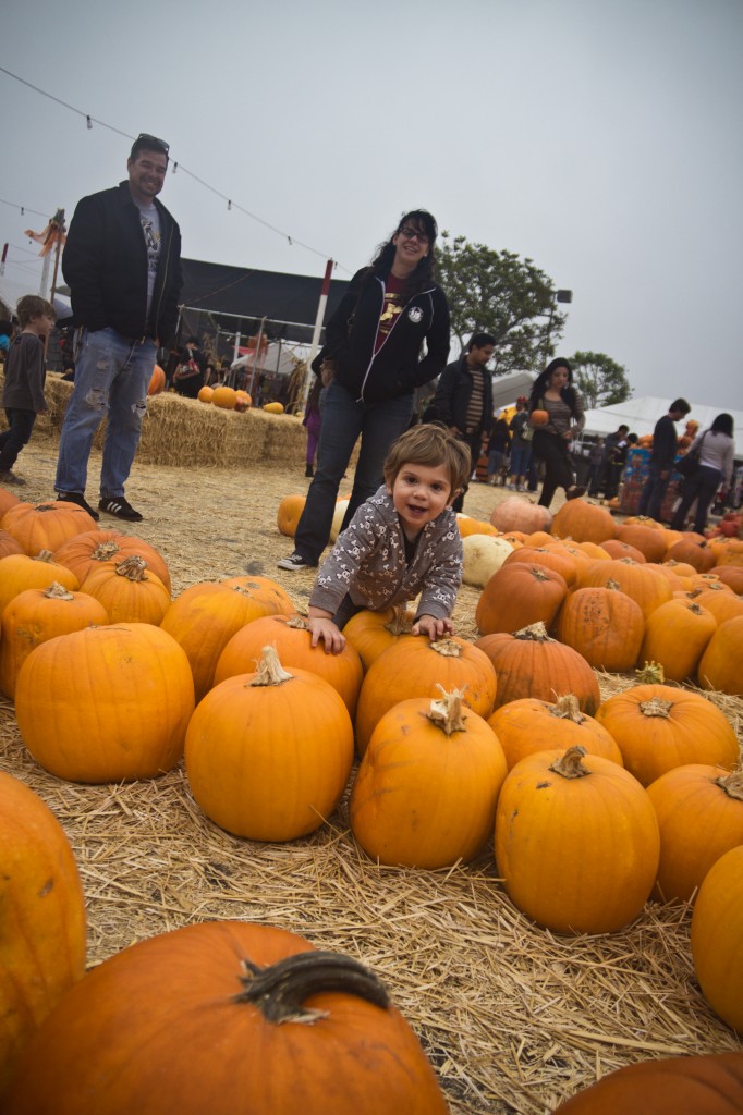 Pumpkin Patch_22