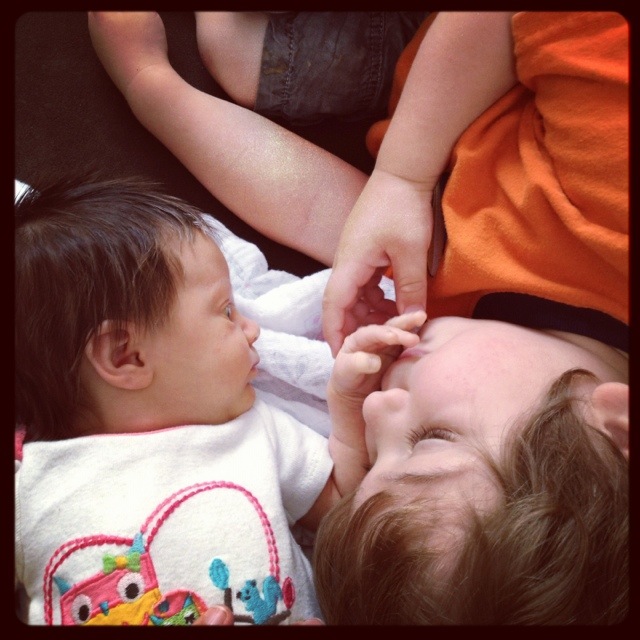 20120621-075333.jpg